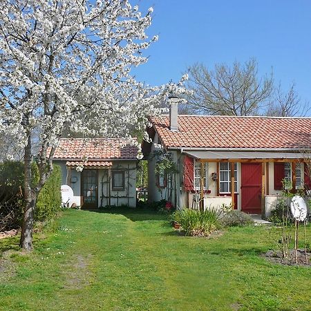Guesthouse La Burle Parentis-en-Born Cameră foto