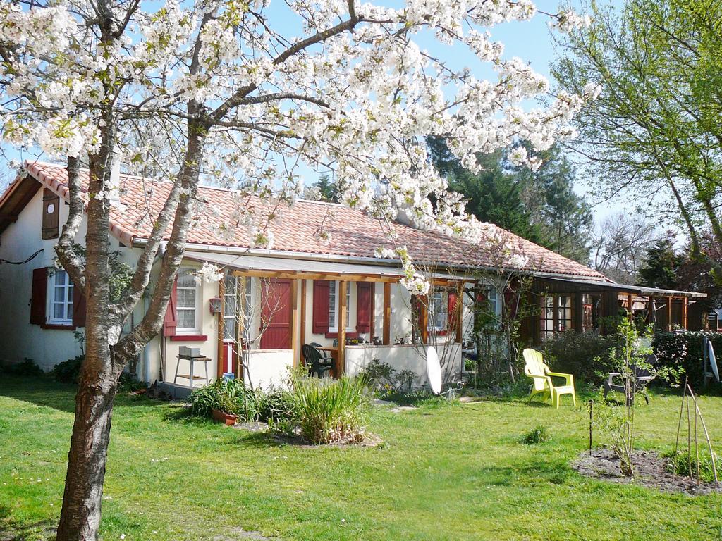 Guesthouse La Burle Parentis-en-Born Cameră foto