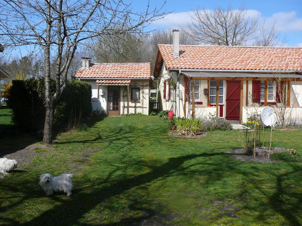 Guesthouse La Burle Parentis-en-Born Cameră foto